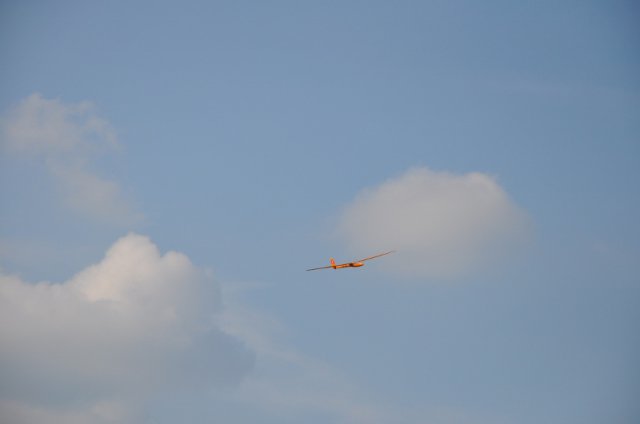 DSC_6252 (800x531)